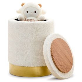 Teddy Velvet Storage Ottoman Multipurpose Footrest Stool with Metal Base Modern Round Vanity Stool Chair Ottoman Foot Stools Support 300lbs Padded Sea