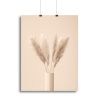 Pampas Grass Beige 11 Canvas Print or Poster