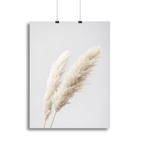 Pampas Grass Grey 13 Canvas Print or Poster (Type: Poster Print, size: 32" x 24" / 80cm x 60cm (approx))
