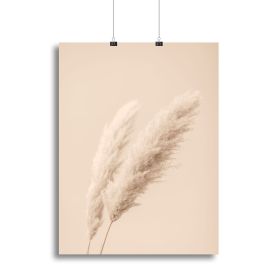 Pampas Grass Begie 15 Canvas Print or Poster (Type: Poster Print, size: 40" x 26" / 100cm x 65cm (approx))