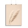 Pampas Grass Begie 15 Canvas Print or Poster