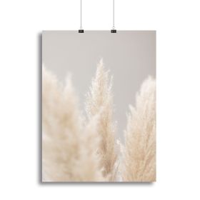 Pampas Grass Grey 04 Canvas Print or Poster (Type: Standard Framed Canvas Print, size: 40" x 26" / 100cm x 65cm (approx))