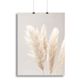 Pampas Grass Grey 02 Canvas Print or Poster (Type: Poster Print, size: 12" x 8" / 30cm x 20cm (approx))