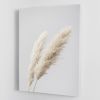 Pampas Grass Grey 13 Canvas Print or Poster