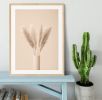 Pampas Grass Beige 11 Framed Print