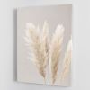 Pampas Grass Grey 02 Canvas Print or Poster
