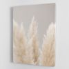 Pampas Grass Grey 04 Canvas Print or Poster